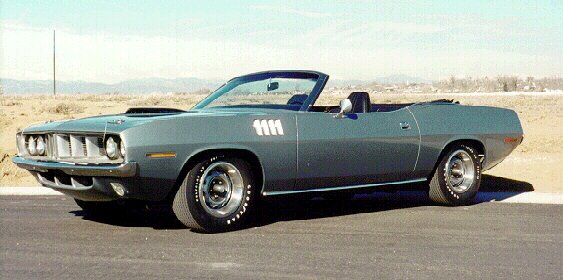 hemi2.jpg (40768 bytes)