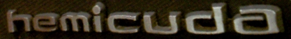 heminame.jpg (21569 bytes)