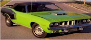lime2.jpg (8344 bytes)