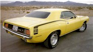 yellow.jpg (8391 bytes)